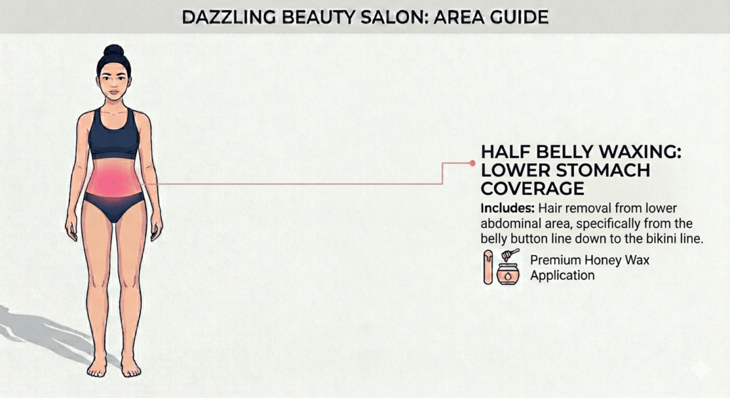 Professional vector illustration of a female figure from a front perspective, highlighting the lower stomach and abdominal (half belly) region in pink gradient to define the service area at Dazzling Beauty Salon.